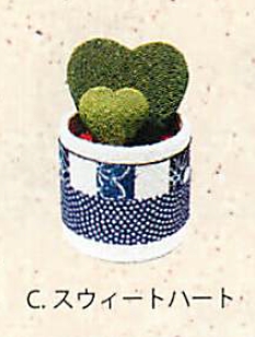 【信頼の日本製】かわいい和雑貨 観葉植物 ちりめんハッピーグリーン（5種） C.スウィートハート